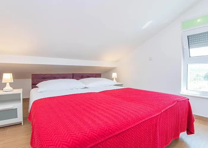 Pajo 2 * פרימוסטן